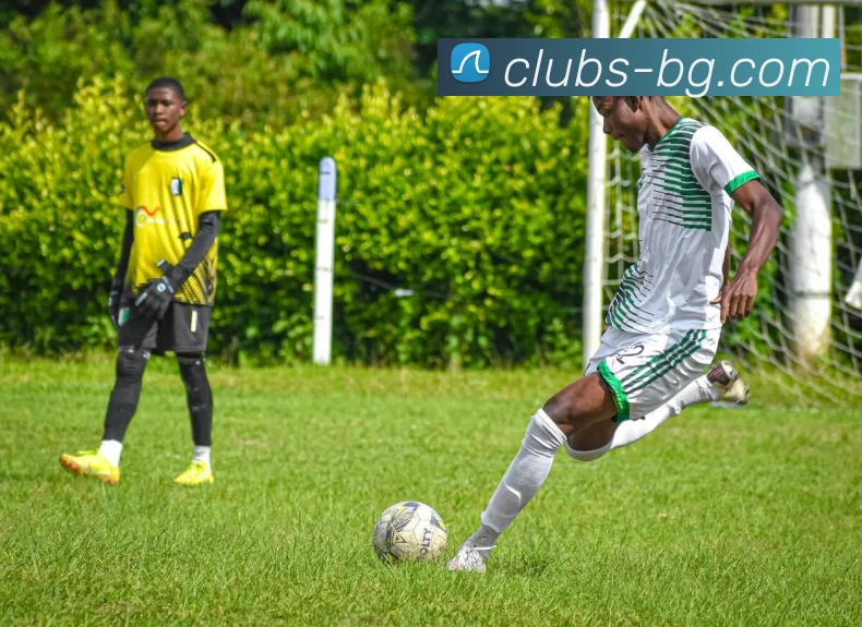 BG大游官网全站App